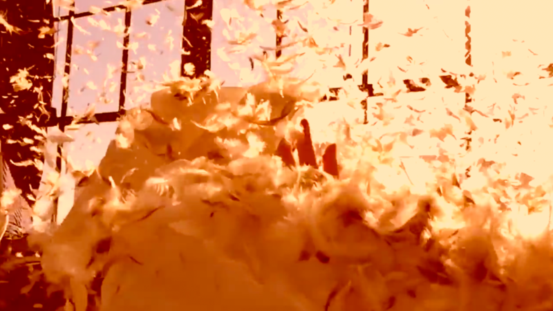 apperçu de la video