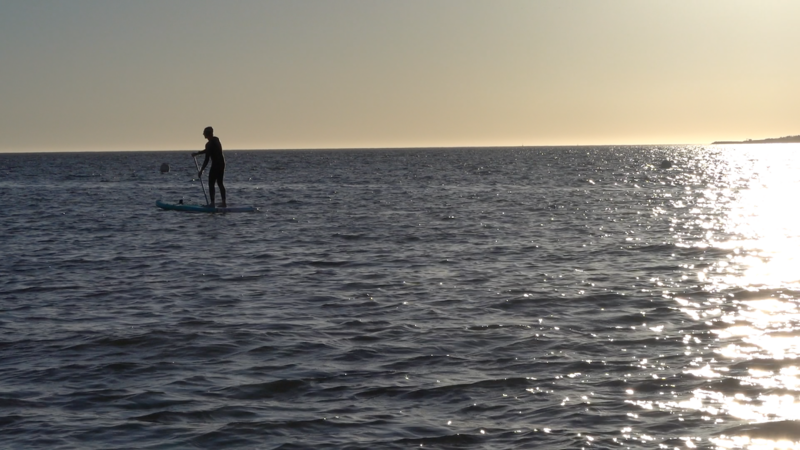 apperçu de la video