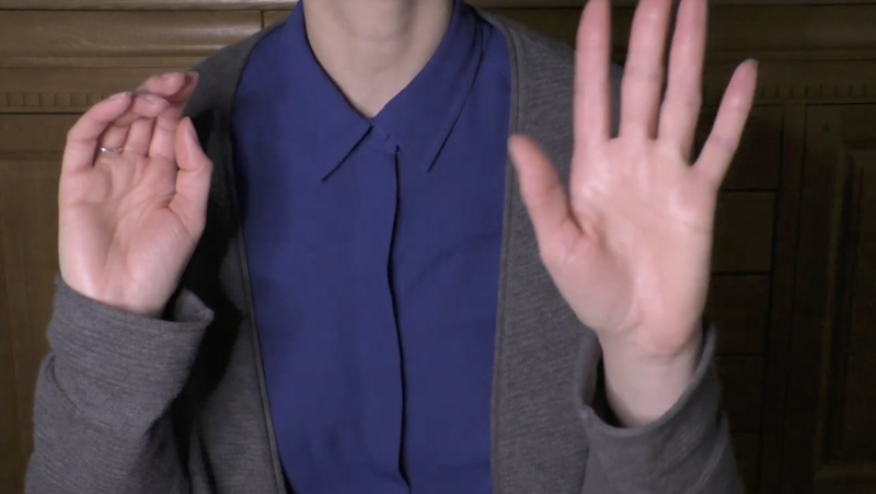 apperçu de la video